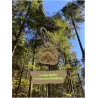 Médaille FORESTA Buddy
